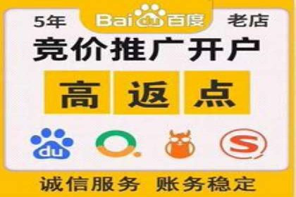 成功案例：托管SEM竞价在金融行业的应用